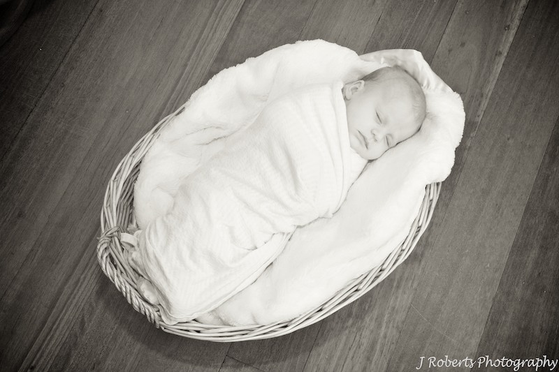 Baby sleeping in basket - baby portrait photography sydney